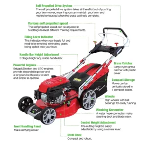 LEO Cordless Gasoline Grass Cutter Machine (LM46Z-2L-P)
